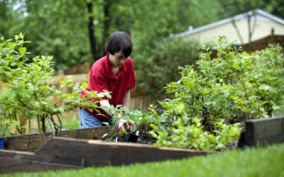 How to get your children interested in fresh food