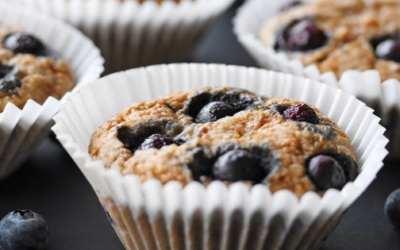 Classic Blueberry Muffins