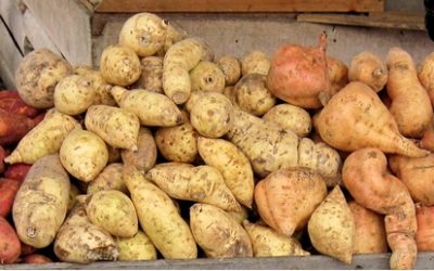 White potato vs. sweet potato- Which is best?