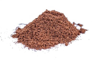 Protein Powders – do they really work?