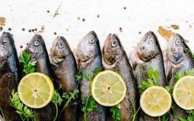 The 4 best fish to eat during pregnancy